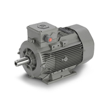 Elektromotory THL MOTORS