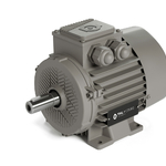Elektromotory THL MOTORS