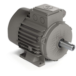 Elektromotory THL MOTORS