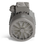 Elektromotory THL MOTORS