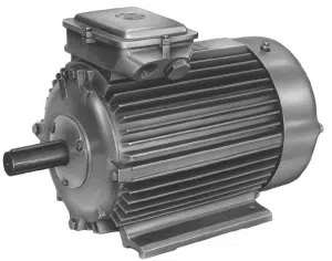 Elektromotor MEZ 40kW, 740 ot./min, litina, F280S08 Elektromotor MEZ 40kW, 740 ot./min, litina, F280S08